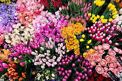 维京背景回合TRPG《Norse》上架Steam 预定登陆多平台