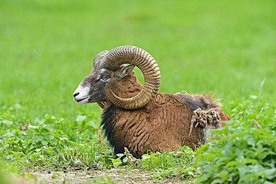 《死亡空间：重制版》没有微交易 会添加改进内容